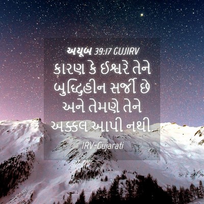 Picture 04 - અયૂબ 39:17 GUJIRV - કારણ કે ઈશ્વરે - Bible Verse Picture