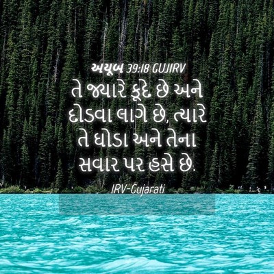 Picture 04 - અયૂબ 39:18 GUJIRV - તે જ્યારે કૂદે છે - Bible Verse Picture