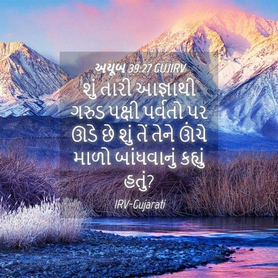 Picture 04 - અયૂબ 39:27 GUJIRV - શું તારી આજ્ઞાથી - Bible Verse Picture