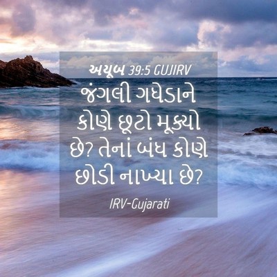 Picture 04 - અયૂબ 39:5 GUJIRV - જંગલી ગધેડાને - Bible Verse Picture