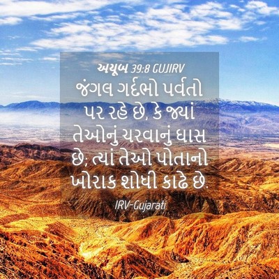 Picture 04 - અયૂબ 39:8 GUJIRV - જંગલ ગર્દભો - Bible Verse Picture