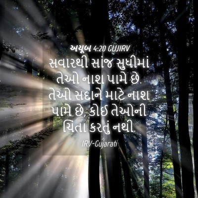 Picture 04 - અયૂબ 4:20 GUJIRV - સવારથી સાંજ - Bible Verse Picture