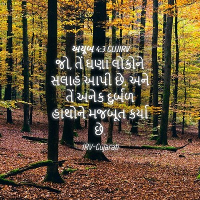 Picture 04 - અયૂબ 4:3 GUJIRV - જો, તેં ઘણા લોકોને - Bible Verse Picture