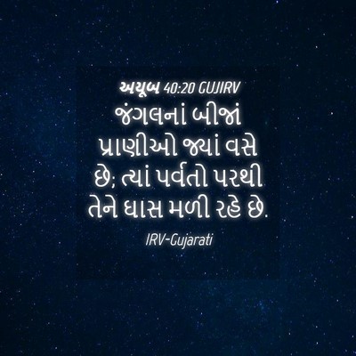 Picture 04 - અયૂબ 40:20 GUJIRV - જંગલનાં બીજાં - Bible Verse Picture