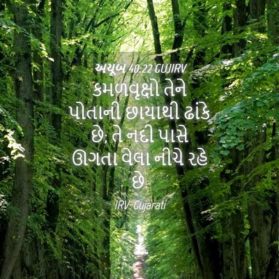 Picture 04 - અયૂબ 40:22 GUJIRV - કમળવૃક્ષો તેને - Bible Verse Picture