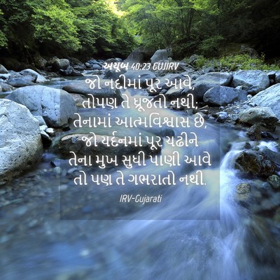 Picture 04 - અયૂબ 40:23 GUJIRV - જો નદીમાં પૂર આવે, - Bible Verse Picture