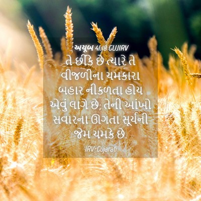 Picture 04 - અયૂબ 41:18 GUJIRV - તે છીંકે છે ત્યારે - Bible Verse Picture