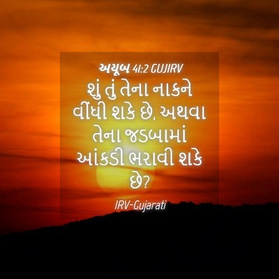 Picture 04 - અયૂબ 41:2 GUJIRV - શું તું તેના નાકને - Bible Verse Picture