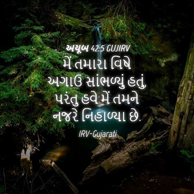 Picture 04 - અયૂબ 42:5 GUJIRV - મેં તમારા વિષે - Bible Verse Picture