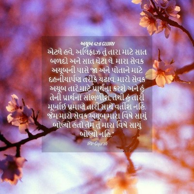 Picture 04 - અયૂબ 42:8 GUJIRV - એટલે હવે, અલિફાઝ - Bible Verse Picture