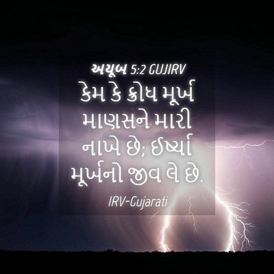 Picture 04 - અયૂબ 5:2 GUJIRV - કેમ કે ક્રોધ મૂર્ખ - Bible Verse Picture