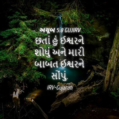 Picture 04 - અયૂબ 5:8 GUJIRV - છતાં હું ઈશ્વરને - Bible Verse Picture