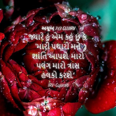 Picture 04 - અયૂબ 7:13 GUJIRV - જ્યારે હું એમ કહું - Bible Verse Picture