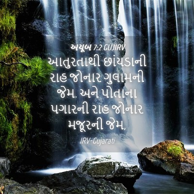 Picture 04 - અયૂબ 7:2 GUJIRV - આતુરતાથી છાંયડાની - Bible Verse Picture