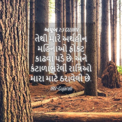 Picture 04 - અયૂબ 7:3 GUJIRV - તેથી મારે અર્થહીન - Bible Verse Picture