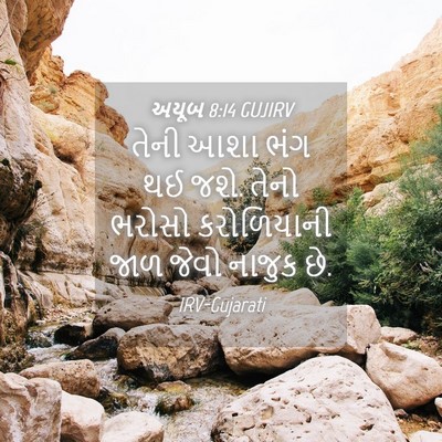 Picture 04 - અયૂબ 8:14 GUJIRV - તેની આશા ભંગ થઈ - Bible Verse Picture