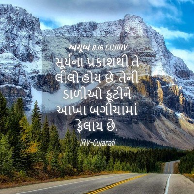 Picture 04 - અયૂબ 8:16 GUJIRV - સૂર્યના પ્રકાશથી - Bible Verse Picture
