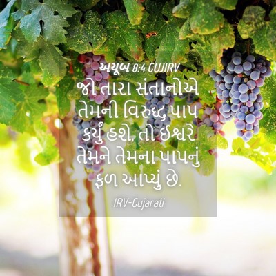 Picture 04 - અયૂબ 8:4 GUJIRV - જો તારા સંતાનોએ - Bible Verse Picture