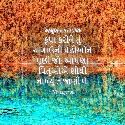 Picture 04 - અયૂબ 8:8 GUJIRV - કૃપા કરીને તું - Bible Verse Picture