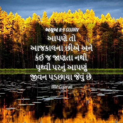 Picture 04 - અયૂબ 8:9 GUJIRV - આપણે તો આજકાલના - Bible Verse Picture