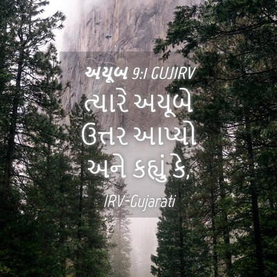 Picture 04 - અયૂબ 9:1 GUJIRV - ત્યારે અયૂબે - Bible Verse Picture