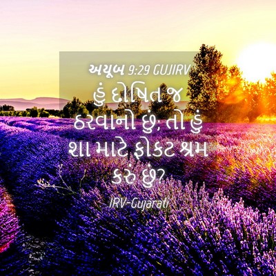 Picture 04 - અયૂબ 9:29 GUJIRV - હું દોષિત જ ઠરવાનો - Bible Verse Picture