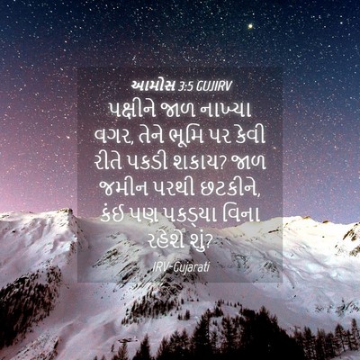 Picture 04 - આમોસ 3:5 GUJIRV - પક્ષીને જાળ - Bible Verse Picture