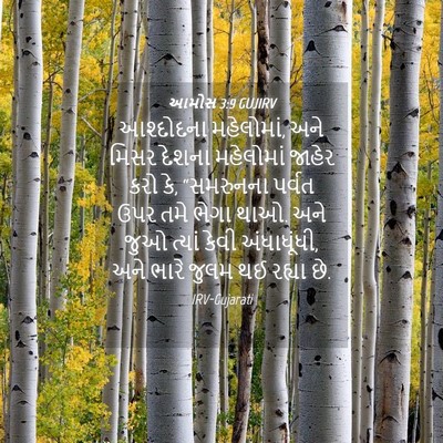 Picture 04 - આમોસ 3:9 GUJIRV - આશ્દોદના - Bible Verse Picture