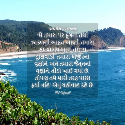 Picture 04 - આમોસ 4:9 GUJIRV - “મેં તમારા પર - Bible Verse Picture