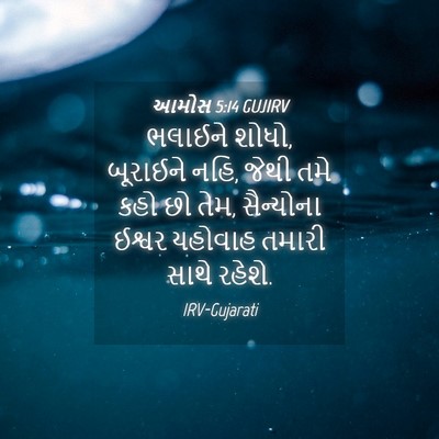 Picture 04 - આમોસ 5:14 GUJIRV - ભલાઈને શોધો, - Bible Verse Picture