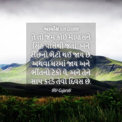 Picture 04 - આમોસ 5:19 GUJIRV - તે તો જેમ કોઈ - Bible Verse Picture