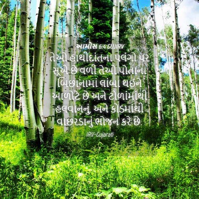 Picture 04 - આમોસ 6:4 GUJIRV - તેઓ હાથીદાંતના - Bible Verse Picture
