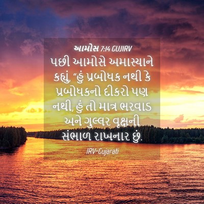 Picture 04 - આમોસ 7:14 GUJIRV - પછી આમોસે - Bible Verse Picture