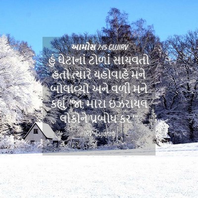 Picture 04 - આમોસ 7:15 GUJIRV - હું ઘેટાનાં ટોળાં - Bible Verse Picture