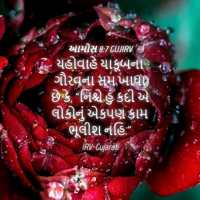 Picture 04 - આમોસ 8:7 GUJIRV - યહોવાહે યાકૂબના - Bible Verse Picture