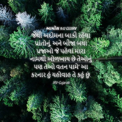 Picture 04 - આમોસ 9:12 GUJIRV - જેથી અદોમના બાકી - Bible Verse Picture