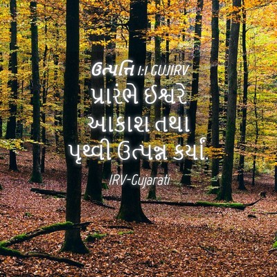 Picture 04 - ઉત્પત્તિ 1:1 GUJIRV - પ્રારંભે ઈશ્વરે - Bible Verse Picture