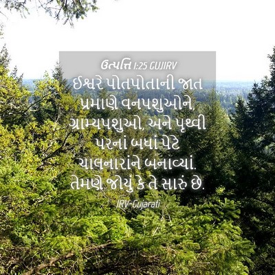 Picture 04 - ઉત્પત્તિ 1:25 GUJIRV - ઈશ્વરે પોતપોતાની - Bible Verse Picture