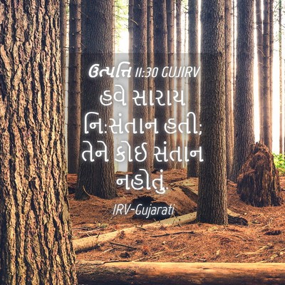 Picture 04 - ઉત્પત્તિ 11:30 GUJIRV - હવે સારાય નિ:સંતાન - Bible Verse Picture
