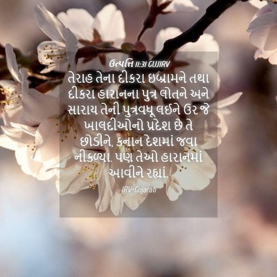 Picture 04 - ઉત્પત્તિ 11:31 GUJIRV - તેરાહ તેના દીકરા - Bible Verse Picture
