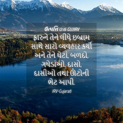 Picture 04 - ઉત્પત્તિ 12:16 GUJIRV - ફારુને તેને લીધે - Bible Verse Picture