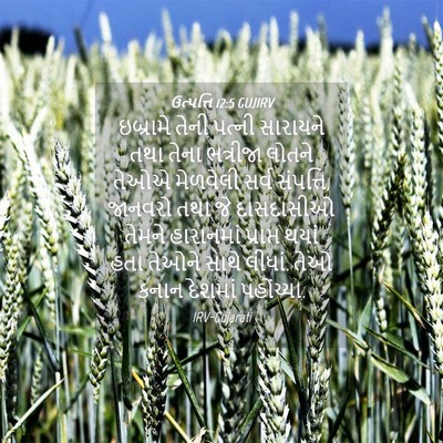 Picture 04 - ઉત્પત્તિ 12:5 GUJIRV - ઇબ્રામે તેની - Bible Verse Picture