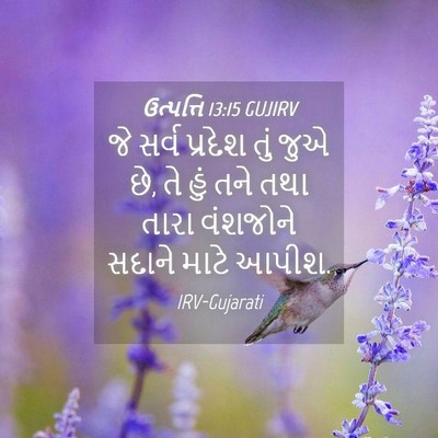 Picture 04 - ઉત્પત્તિ 13:15 GUJIRV - જે સર્વ પ્રદેશ તું - Bible Verse Picture