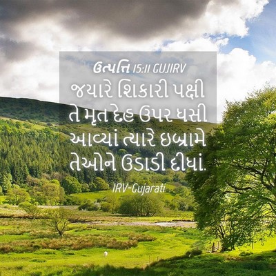 Picture 04 - ઉત્પત્તિ 15:11 GUJIRV - જયારે શિકારી - Bible Verse Picture