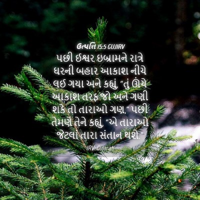 Picture 04 - ઉત્પત્તિ 15:5 GUJIRV - પછી ઈશ્વર - Bible Verse Picture