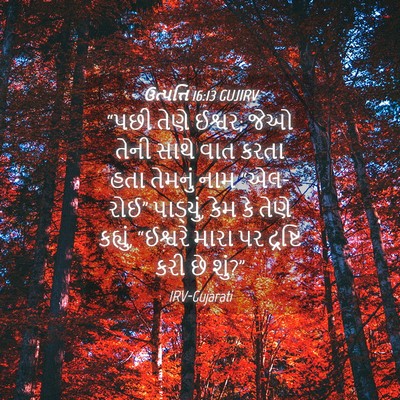 Picture 04 - ઉત્પત્તિ 16:13 GUJIRV - “પછી તેણે ઈશ્વર; - Bible Verse Picture