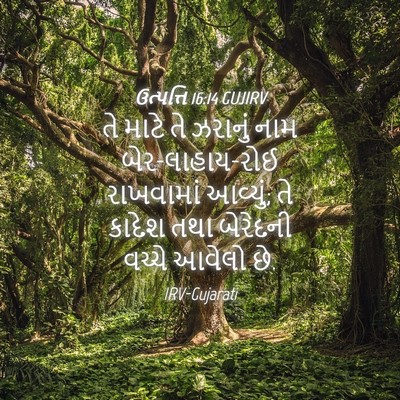 Picture 04 - ઉત્પત્તિ 16:14 GUJIRV - તે માટે તે ઝરાનું - Bible Verse Picture