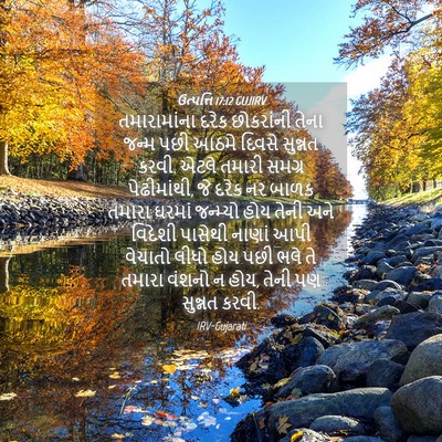 Picture 04 - ઉત્પત્તિ 17:12 GUJIRV - તમારામાંના દરેક - Bible Verse Picture