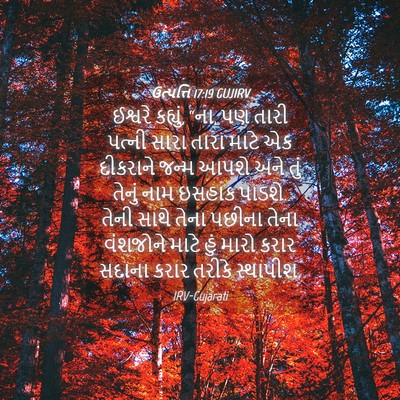 Picture 04 - ઉત્પત્તિ 17:19 GUJIRV - ઈશ્વરે કહ્યું, “ના, - Bible Verse Picture