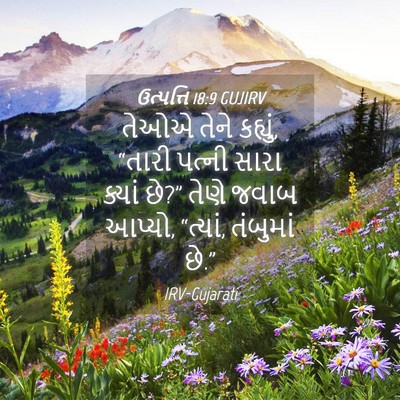 Picture 04 - ઉત્પત્તિ 18:9 GUJIRV - તેઓએ તેને કહ્યું, - Bible Verse Picture